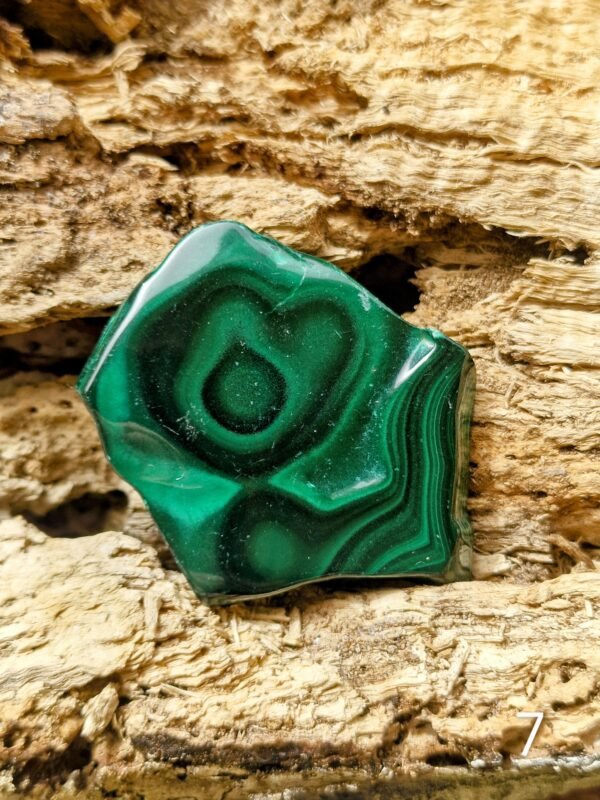 Morceau de malachite poli - Image 11