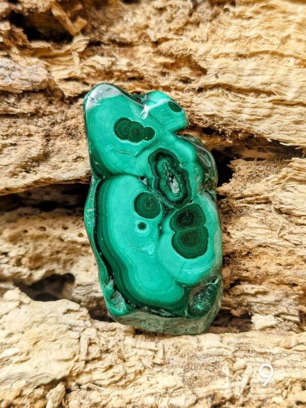 Morceau de malachite poli - Image 12