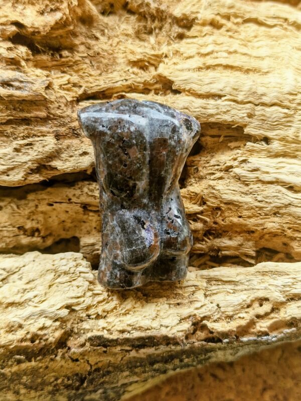 Buste homme en Yooperlite – Image 3