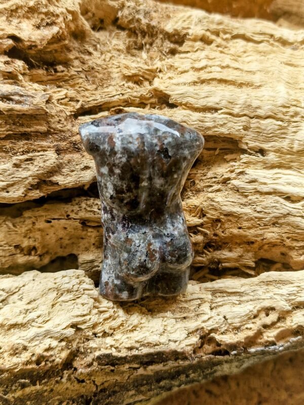 Buste homme en Yooperlite – Image 5