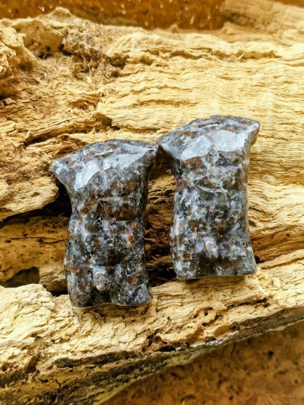 Buste homme en Yooperlite