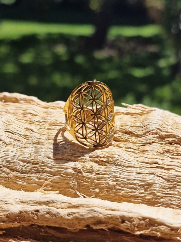 Bague Fleur de vie en acier inoxydable réglable – Image 4