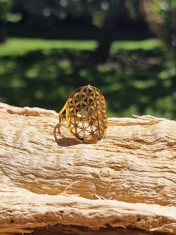 Bague Fleur de vie en acier inoxydable réglable – Image 6