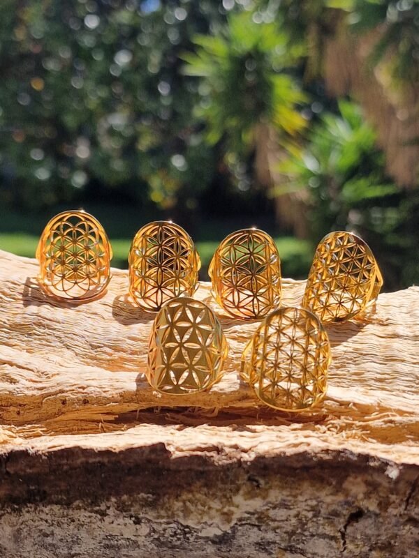 Bague Fleur de vie en acier inoxydable réglable