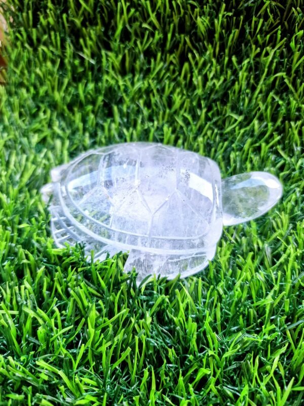 Grosses tortues en Cristal de roche – Image 3