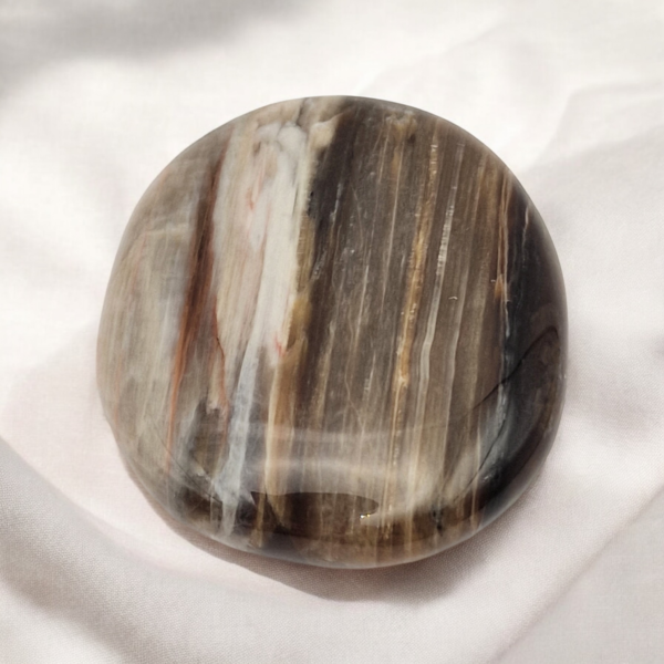 Galet bois fossilisé - Image 2
