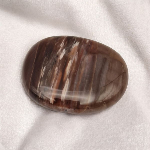 Galet bois fossilisé - Image 4